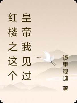 红楼之这个皇帝我见过